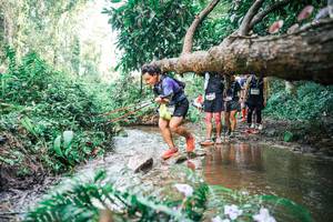 BIB: 
                            <button type="button" onclick="openModal(25515957)" class="btn btn-primary btn-sm float-right btn-popup" data-toggle="modal" data-target=".modal-high-quality">
                        <i class="fas fa-shopping-cart"></i> Add to Cart
                    </button>
                                            <button type="button" onclick="isThisMe(25515957, true)" class="btn btn-success btn-sm float-right btn-popup btn-isme hidden" data-toggle="tooltip" data-placement="bottom" title="นี่คือรูปของคุณใช่ไหม คลิกที่นี่เพื่อเอาเข้าอัลบั้ม">
                        <i class="fas fa-plus"></i> Add to album
                    </button>
                    <button type="button" onclick="isThisMe(25515957, false)" class="btn btn-warning btn-sm float-right btn-popup btn-isnotme hidden">
                        <i class="fas fa-ban"></i> Remove from album
                    </button>